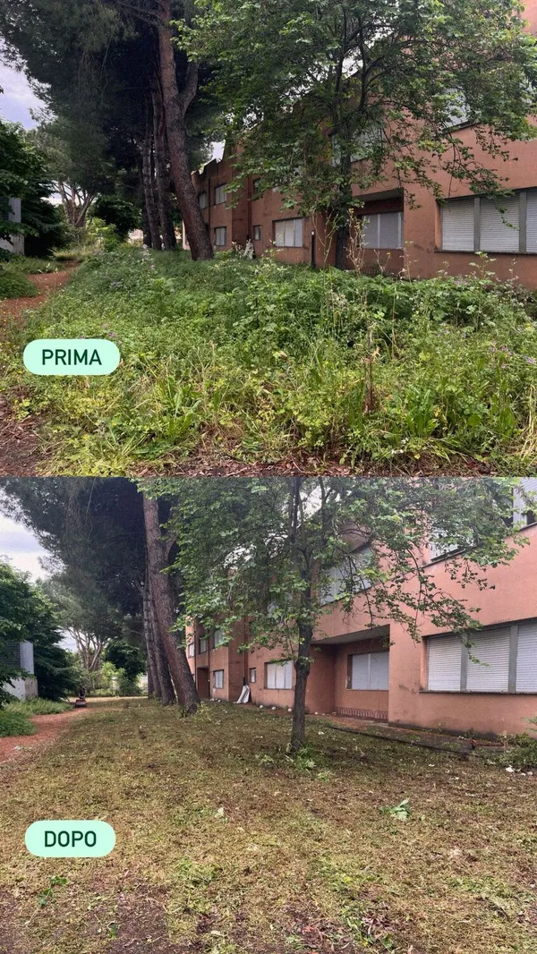 Attività di EVERA sul territorio — foto 3 di 52