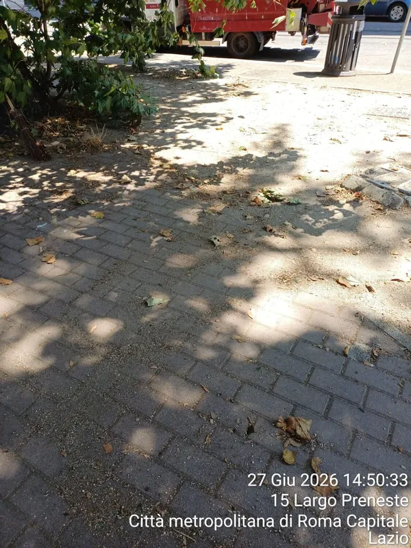 Attività di EVERA sul territorio — foto 7 di 52