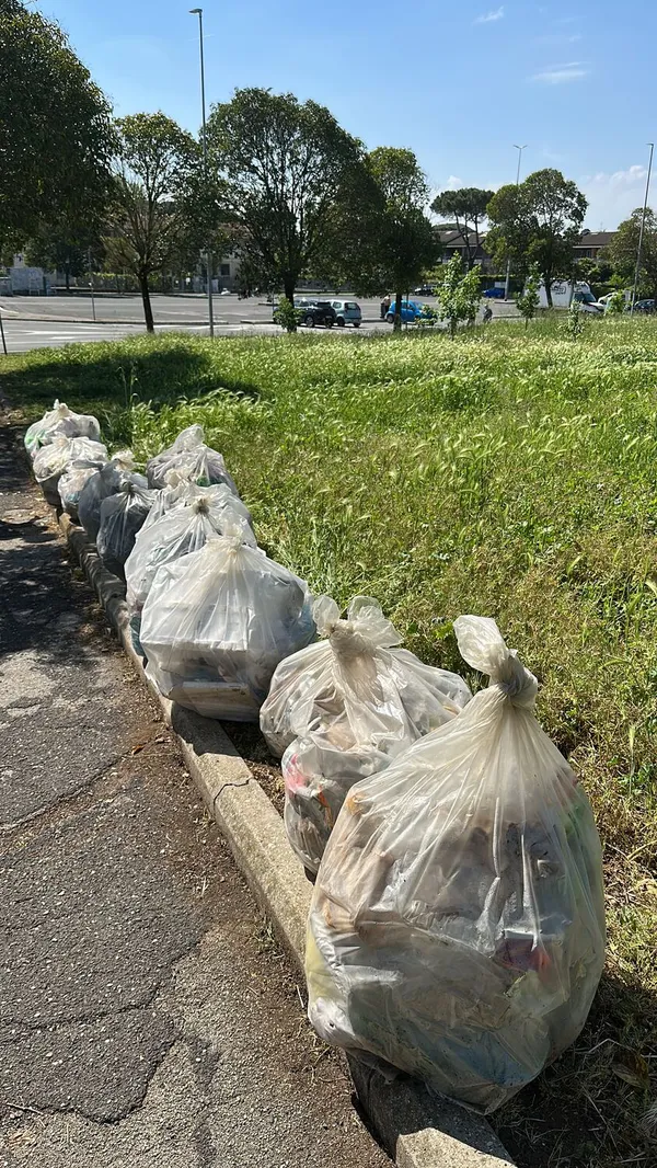 Attività di EVERA sul territorio — foto 20 di 52