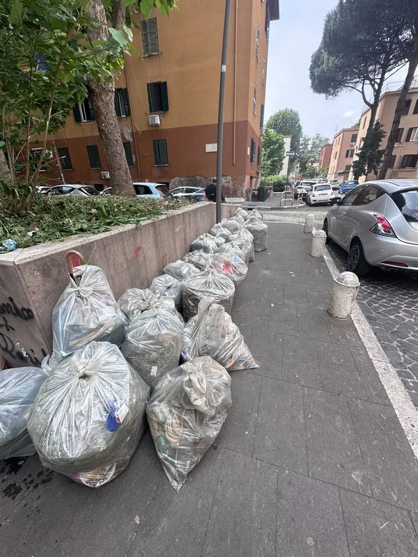 Attività di EVERA sul territorio — foto 29 di 52