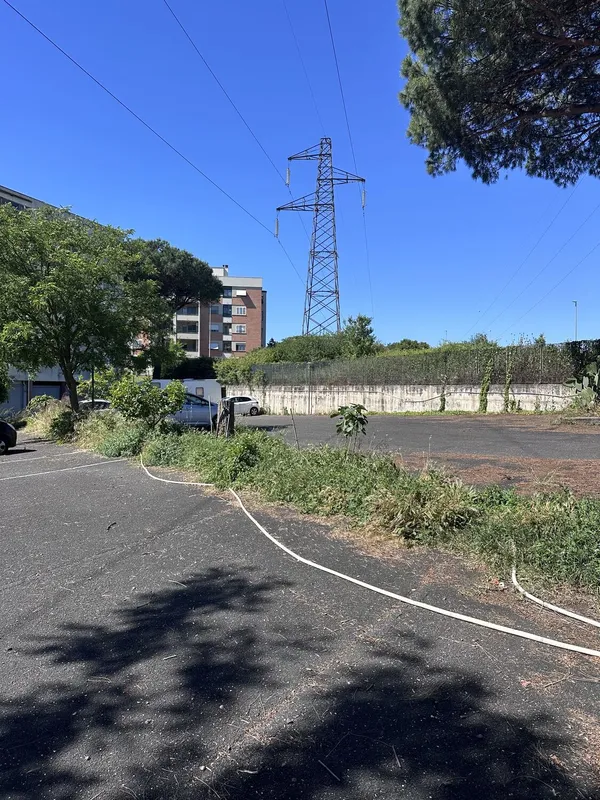 Attività di EVERA sul territorio — foto 32 di 52