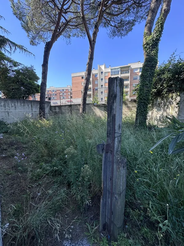 Attività di EVERA sul territorio — foto 33 di 52