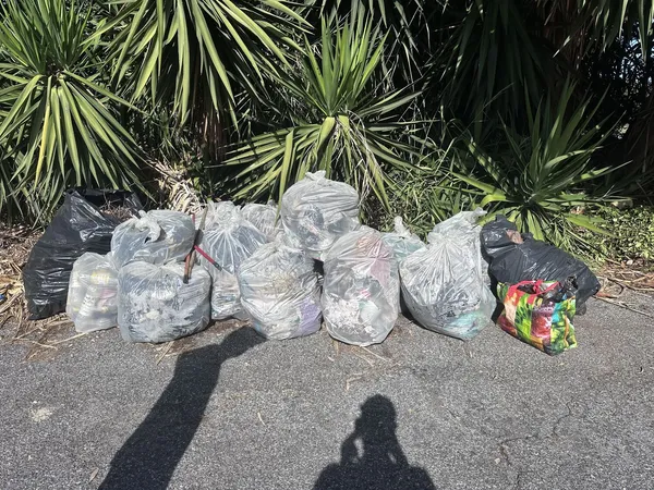 Attività di EVERA sul territorio — foto 47 di 52