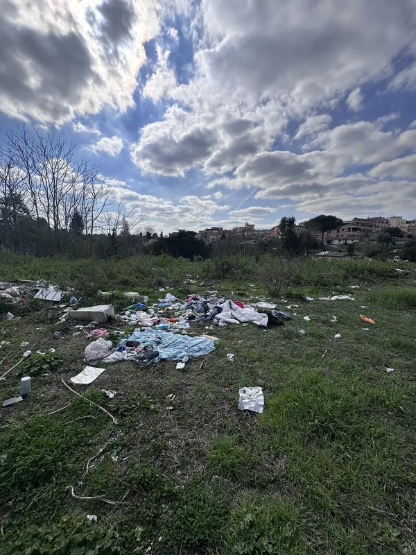 Attività di EVERA sul territorio — foto 48 di 52