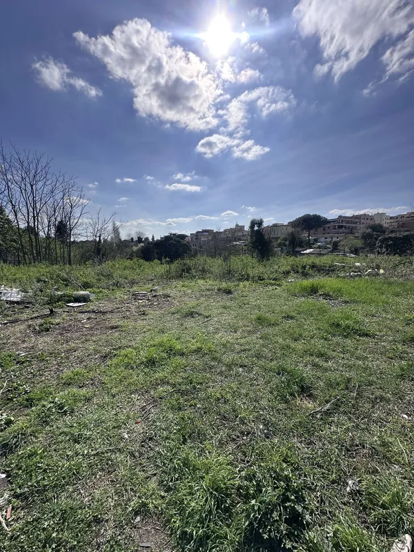 Attività di EVERA sul territorio — foto 49 di 52