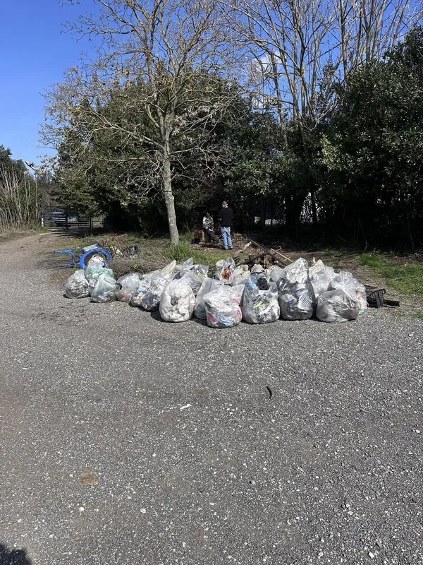 Attività di EVERA sul territorio — foto 50 di 52